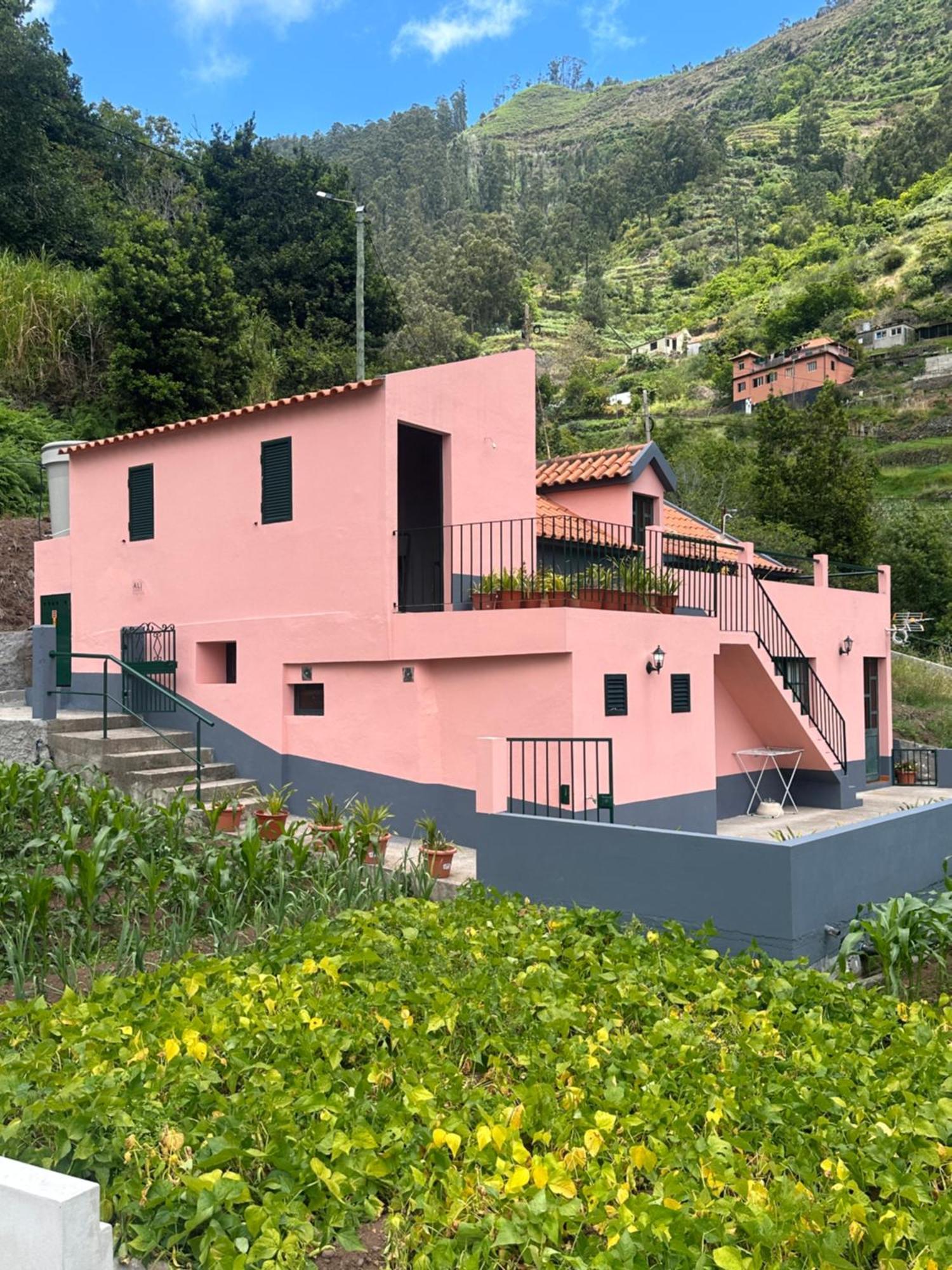 Vila Casa Rosa Ribeira Brava Exteriér fotografie