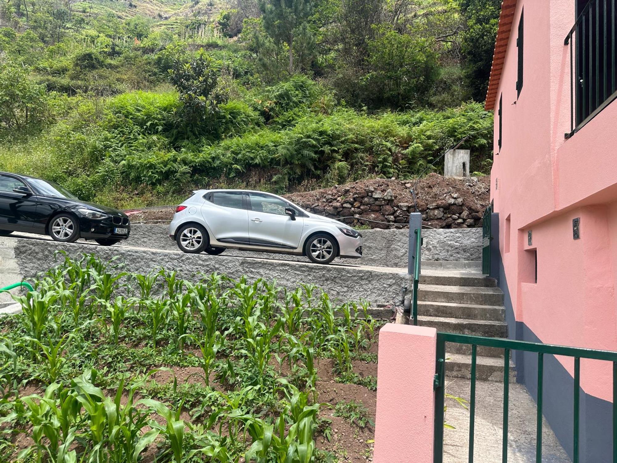 Vila Casa Rosa Ribeira Brava Exteriér fotografie