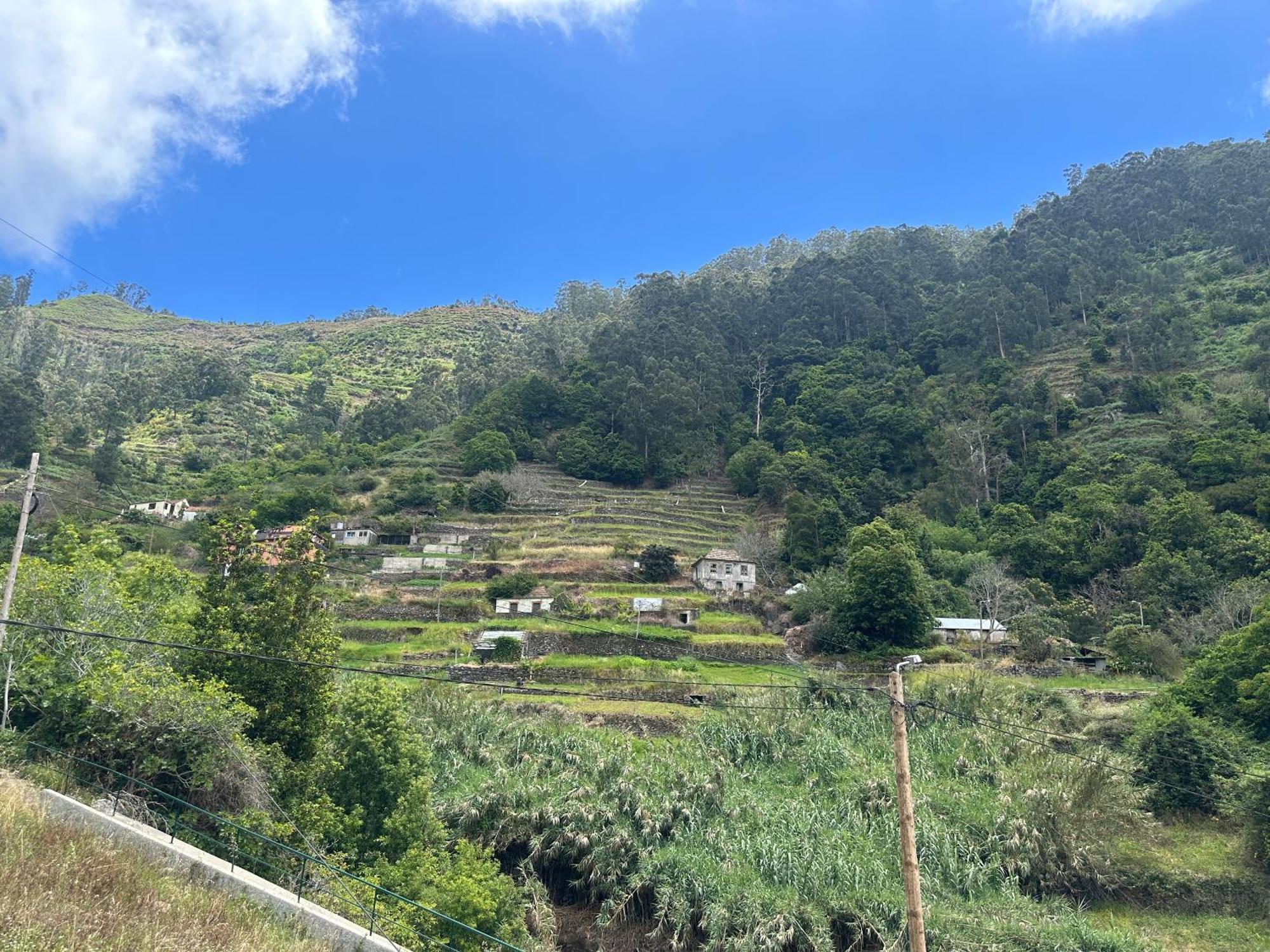 Vila Casa Rosa Ribeira Brava Exteriér fotografie